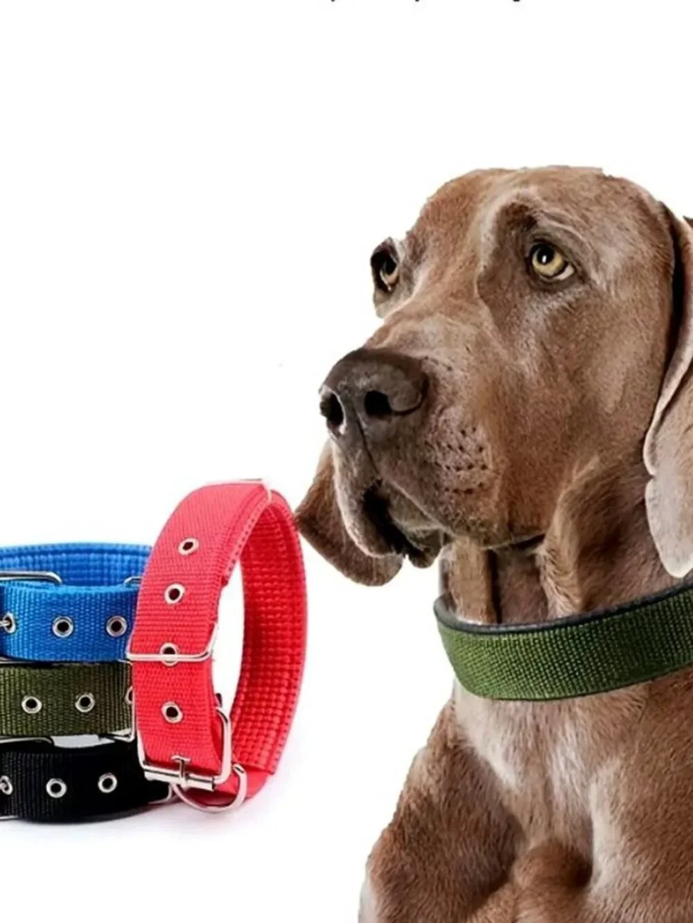 Nikalos XL Blue Standard Nylon Comfort Strip D Ring Metal Buckle Dog Collar